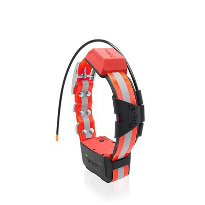 Thiết bị đeo cổ chó TR-Dog® R60